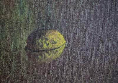 Detail from oil on canvas painting by the artist Mimica Kulenovic, portraying a walnut.