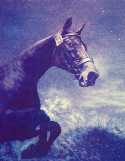 Oil on canvas painting by the artist Mimica Kulenovic, portraying a horse jumping underwater.