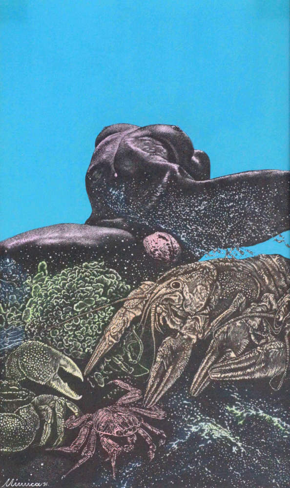 Drawing by the artist Mimica Kulenovic, portraying a female nude in a marine environment.