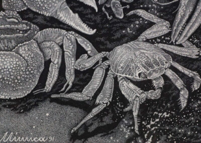 Detail from drawing with ink by the artist Mimica Kulenovic, portraying a female nude in a marine environment.