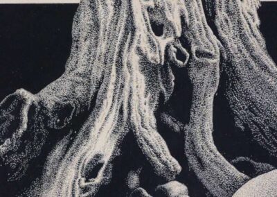 Detail from drawing with ink by the artist Mimica Kulenovic, portraying gravestones and tree roots on stones.