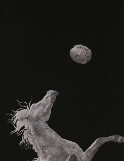 Drawing with pencil by the artist Mimica Kulenovic, portraying a horse with a walnut.