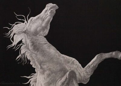 Detail from drawing with pencil by the artist Mimica Kulenovic, portraying a horse with a walnut.