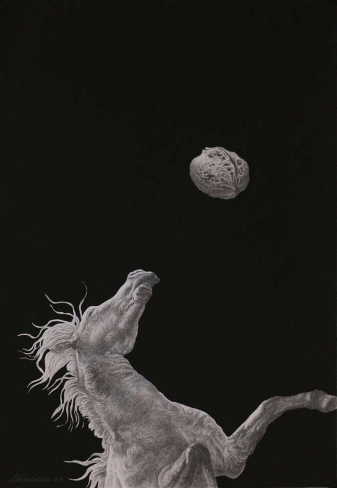 Drawing with pencil by the artist Mimica Kulenovic, portraying a horse with a walnut.