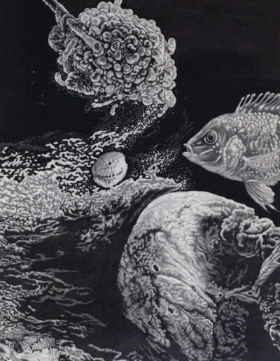 Drawing with ink by the artist Mimica Kulenovic, portraying a marine environment.