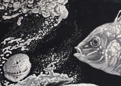 Detail from drawing with ink by the artist Mimica Kulenovic, portraying a marine environment.