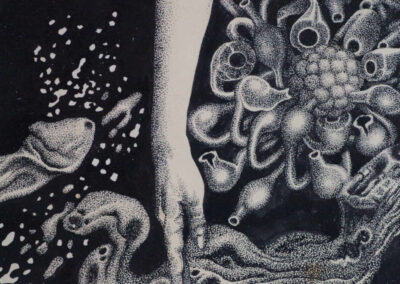 Detail from drawing with ink by the artist Mimica Kulenovic, portraying a female nude and a close-up portrait.