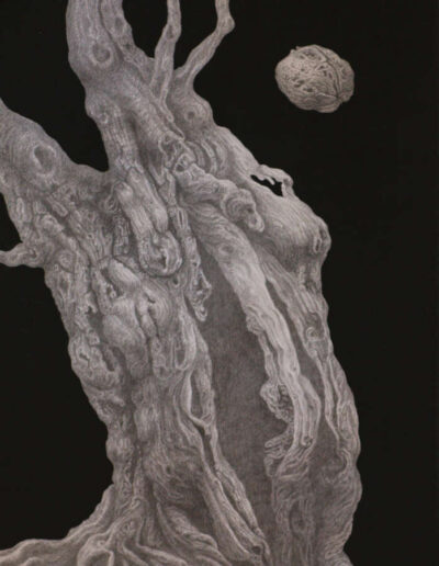 Drawing with pencil by the artist Mimica Kulenovic, portraying roots with a walnut.