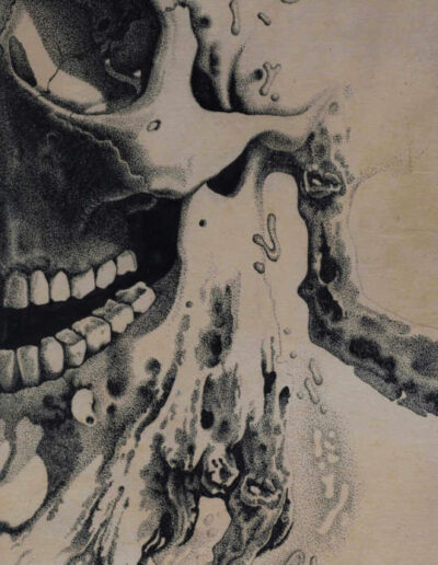 Drawing with ink by the artist Mimica Kulenovic, portraying a skull.
