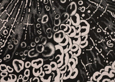 Detail from drawing with ink by the artist Mimica Kulenovic, portraying a web and a marine motif.